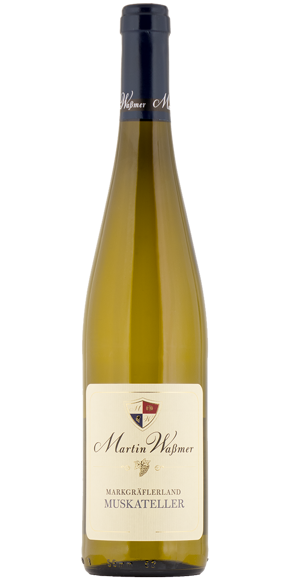 Muskateller Kabinett fruchtsüß 2022 0,75 l** - (2/14) Muskateller Kabinett fruchtsüß 2022 0,75 l** - (2/14)