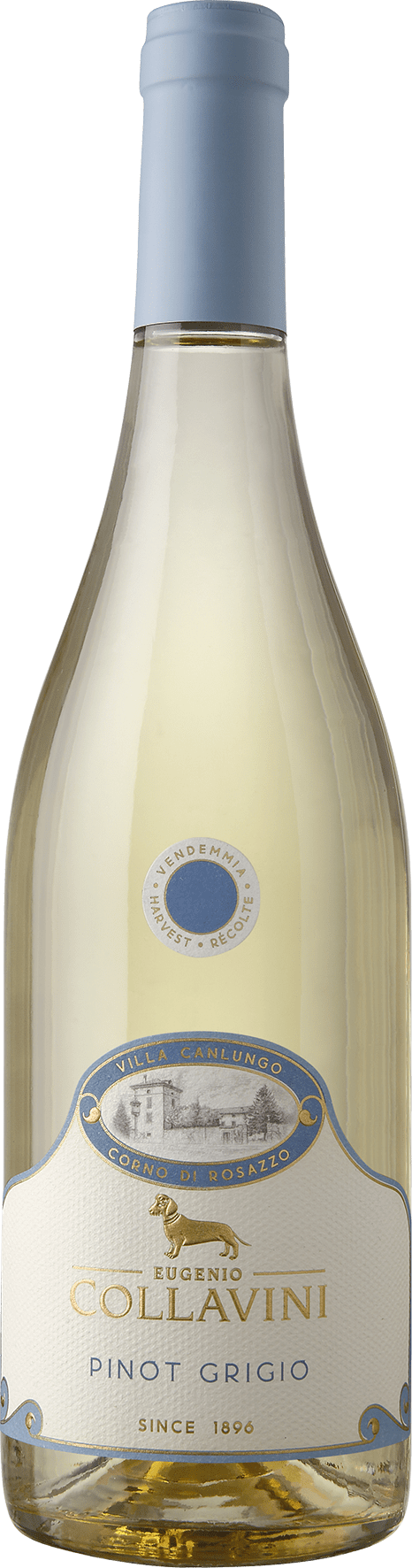 Pinot Grigio IGT Venezia Giulia Canlungo 2024 0,75 l (202810) - (8/11)