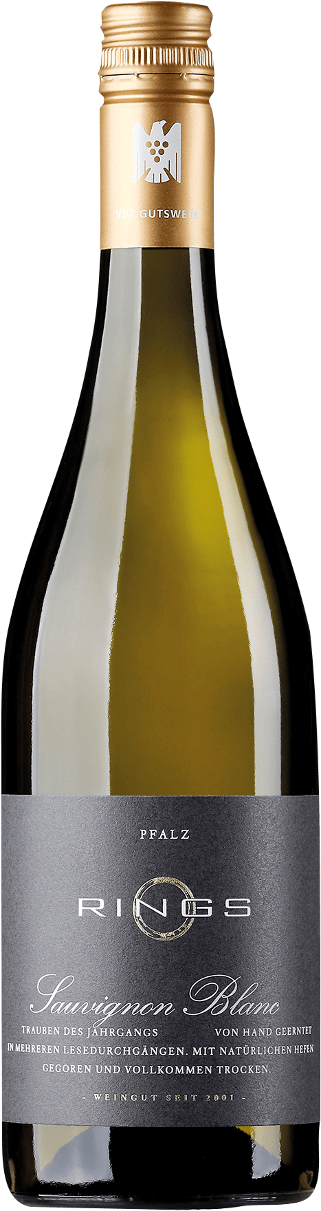 Sauvignon Blanc DQW trocken 2020 0,75 l (570024)