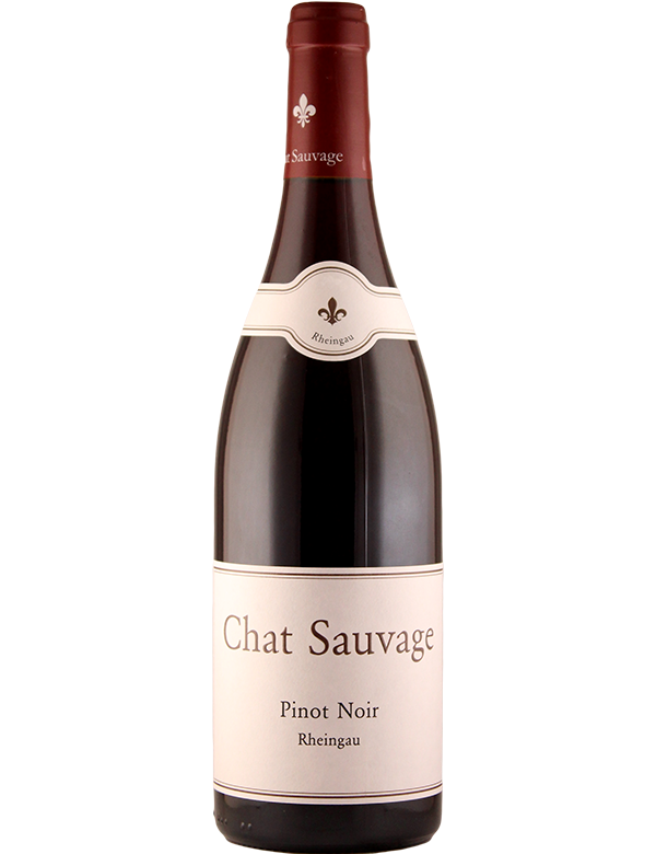 Pinot Noir Lorch Ortswein 2019 0,75l**