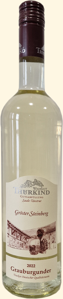 Grauburgunder DQW trocken 2019 0,75 l (TM/20154) Grauburgunder DQW trocken 2019 0,75 l (TM/20154)