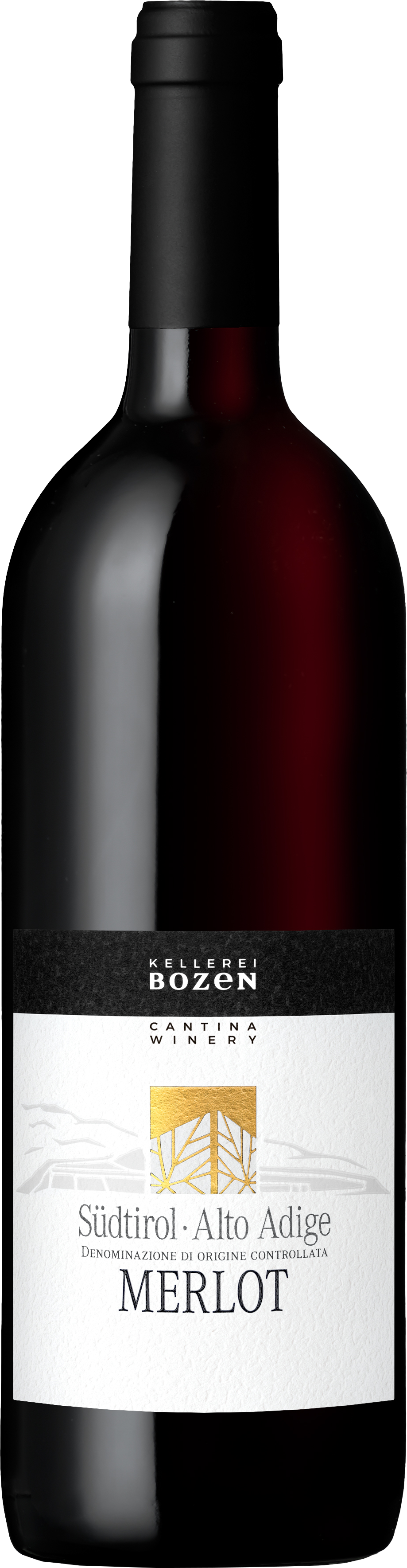 Merlot DOC Classic 2022 0,75 l*