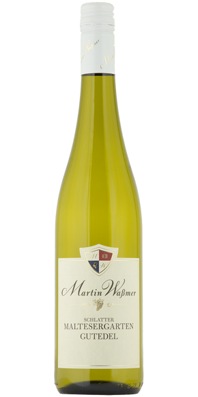 Gutedel Markgräfler DQW trocken 2022 0,75 l* Gutedel Markgräfler DQW trocken 2022 0,75 l*