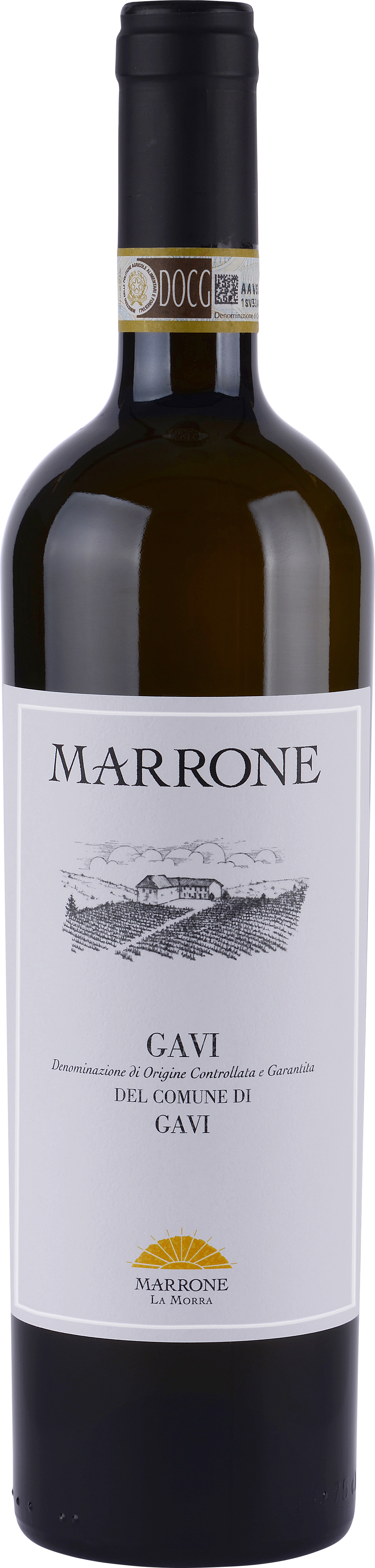 Gavi di Gavi Marrone DOCG  2024 0,75 l (MS/30437) - (8/11)