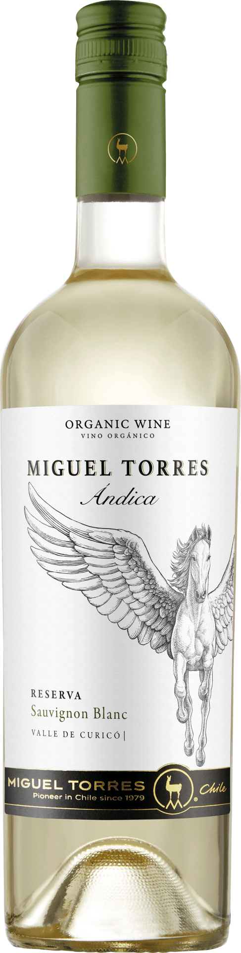Andica Sauvignon Blanc Gran Reserva 2023 0,75 l (008411)