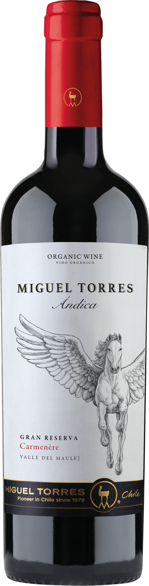 Andica Carmenere Gran Reserva Maule Valley 2021 0,75 l (008414) Andica Carmenere Gran Reserva Maule Valley 2021 0,75 l (008414)