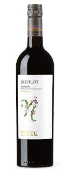 Merlot Veneto IGT - Biologio 2022 0,75 l*