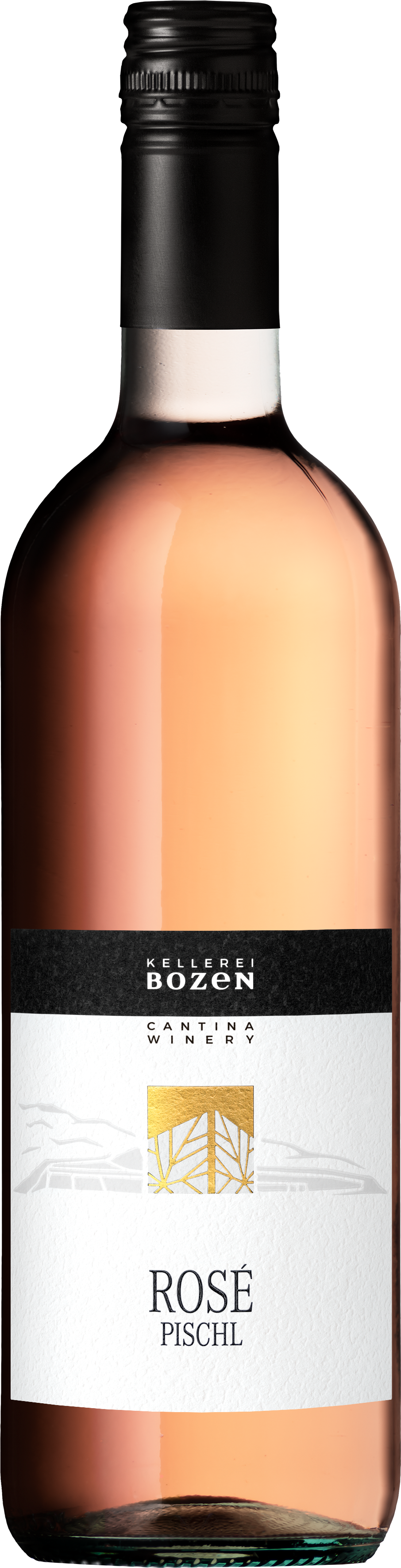 Rosé Pischl DOC Classic 2022 0,75 l*